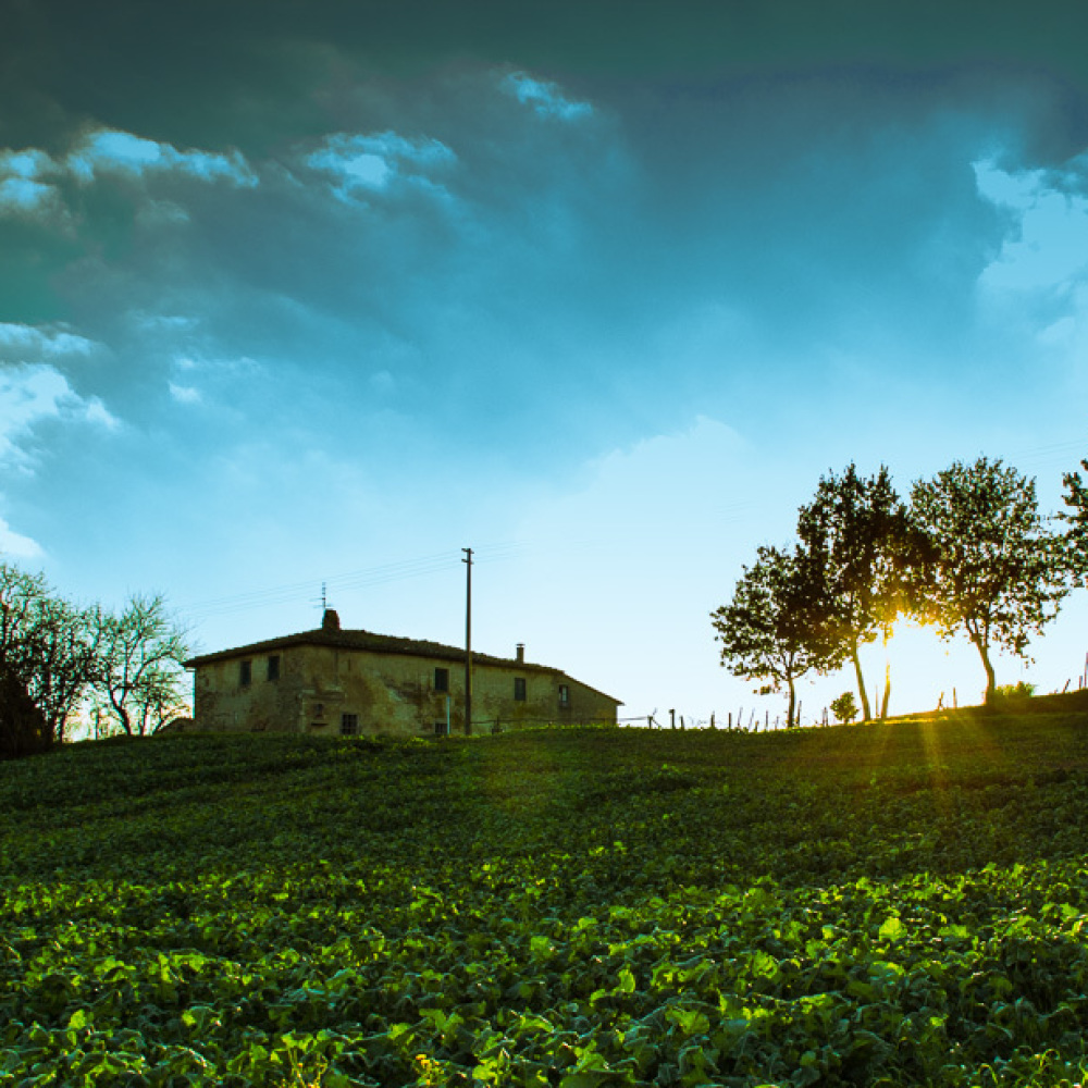 Old mansion  hotel in Mugello