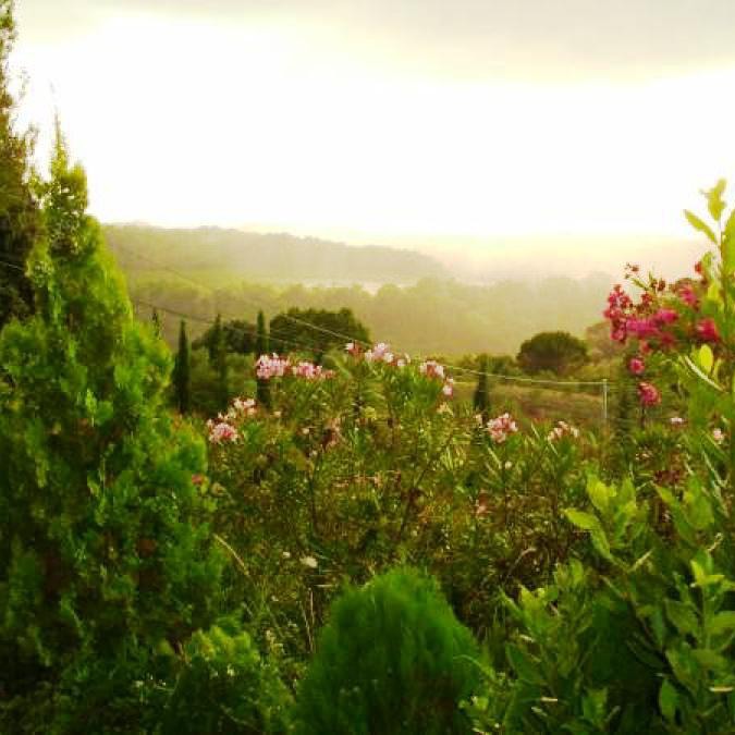 Appartamenti tra i tartufi e bosco