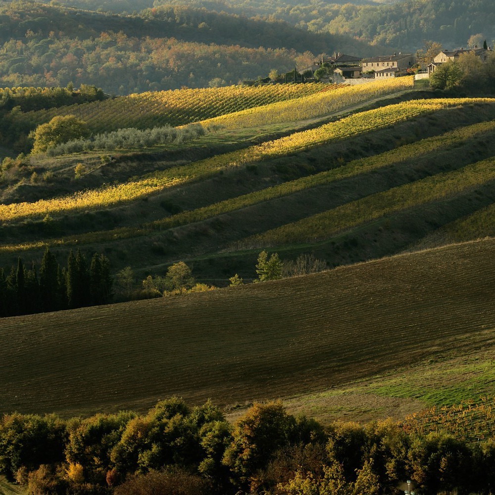 Antico albergo in Mugello