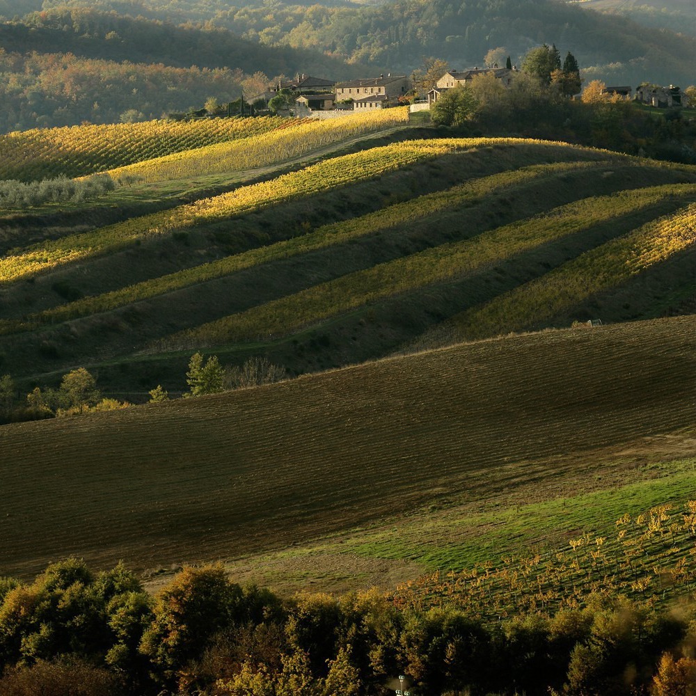 Apartments in villa in Mugello