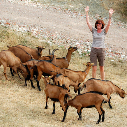 Agriturismo immerso nella natura e silenzio