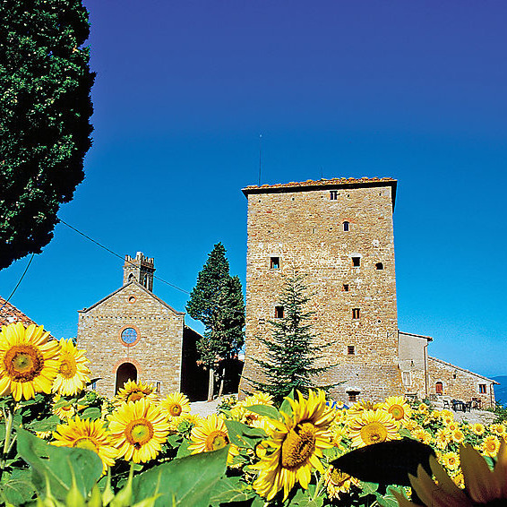 Medieval castle in the woods of Valdarno