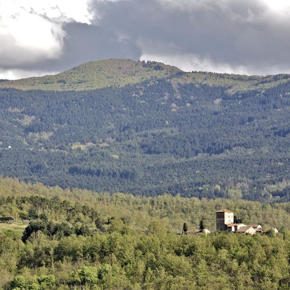 Medieval castle in the woods of Valdarno