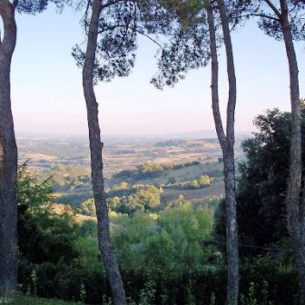 Appartamenti tra i tartufi e bosco