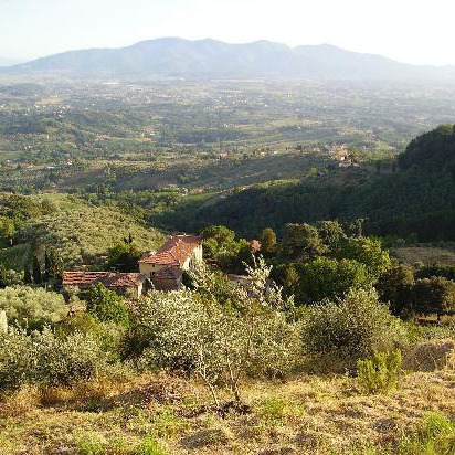 Villa with pool around Lucca