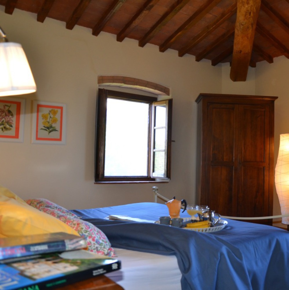 Apartments in Wine Resort Chianti