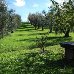 Countryhouse with pool  on Pisa hills