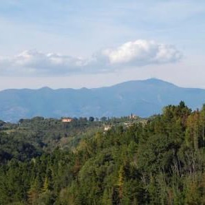 Countryhouse with pool  on Pisa hills