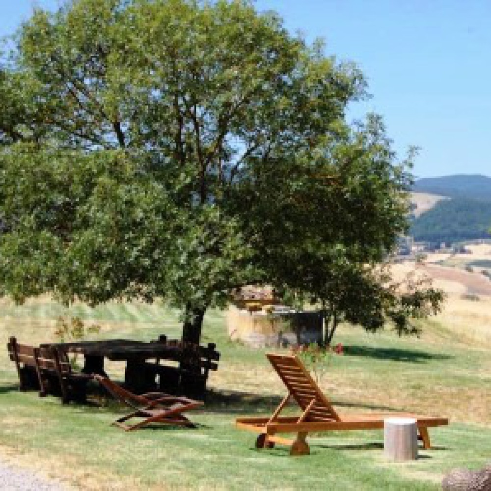 Farm in the hills of Volterra