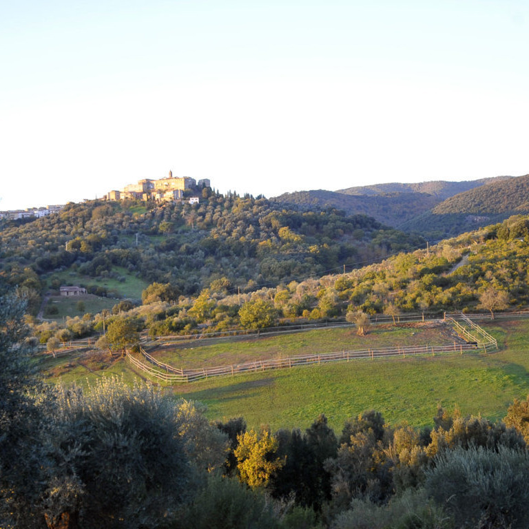 Apartment in a horse farm in Maremma