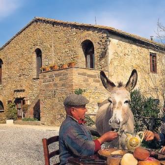 Apartments in farm with animals, flavors bio