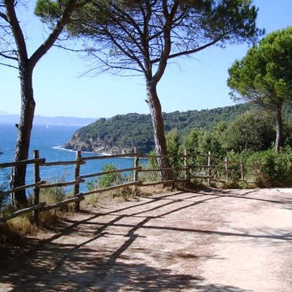 Casa con vigne & piscina, mare Follonica