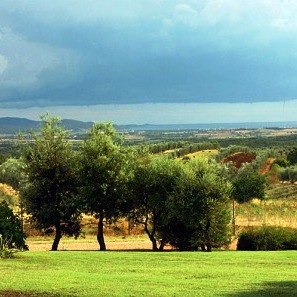 Casa con vigne & piscina, mare Follonica