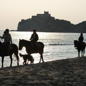 Apartment in a horse farm in Maremma