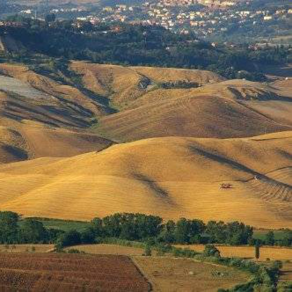 Farm in the hills of Volterra