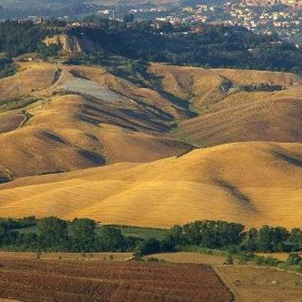 Appartamenti & piscina sulla strada del vino