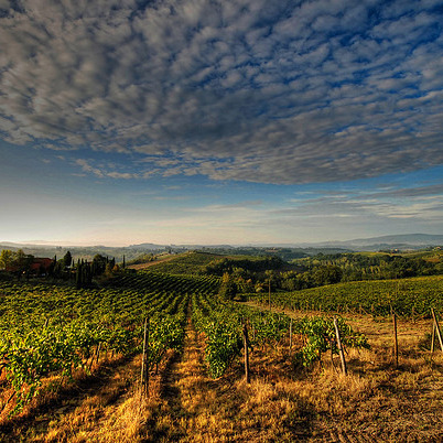 Appartamenti & piscina sulla strada del vino