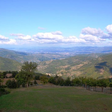 Agriturismo immerso nella natura e silenzio