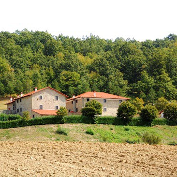 Agriturismo immerso nella natura e silenzio