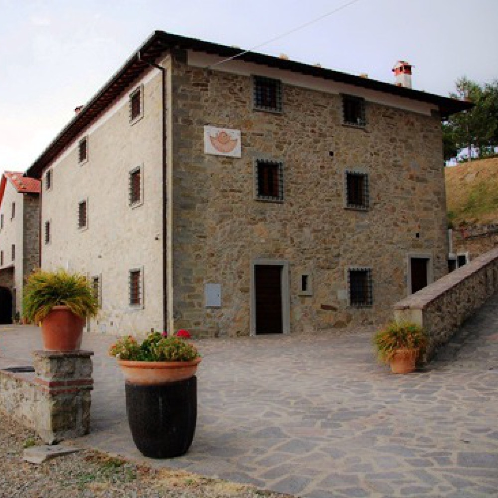 Agriturismo immerso nella natura e silenzio