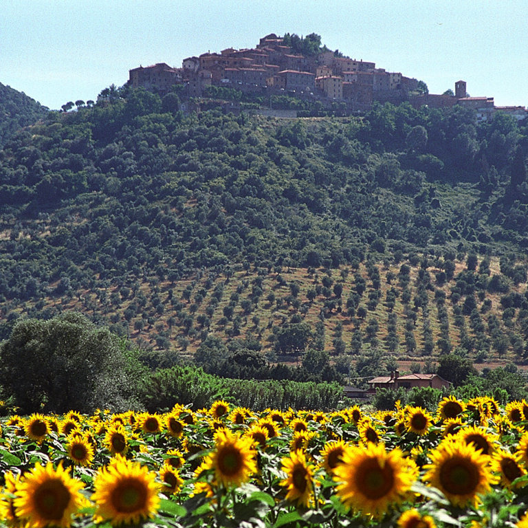  Casale tra mare e borghi etruschi