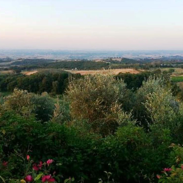 Appartamenti nel wine resort Chianti