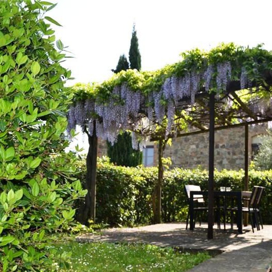 Appartamenti nel wine resort Chianti