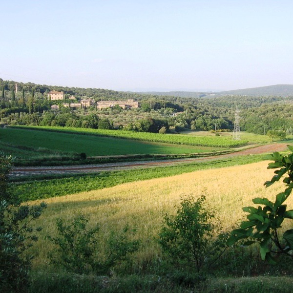 Bio agriturismo b&b nel senese