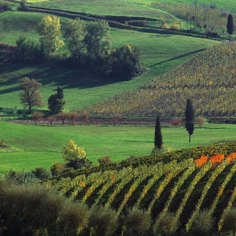 Villas on top of a hill in Chianti