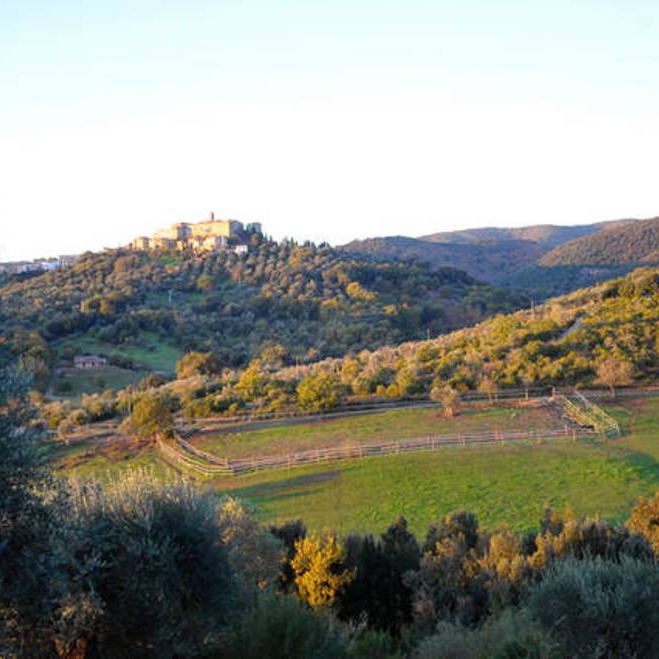 Apartment in a horse farm in Maremma