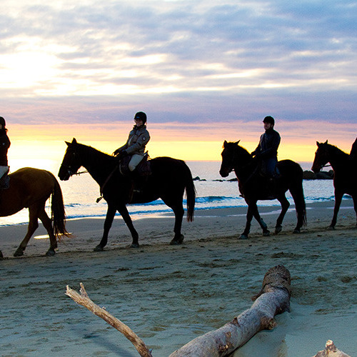 Discovering Maremma coast on horse