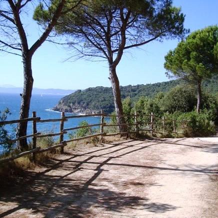 Discovering Maremma coast on horse