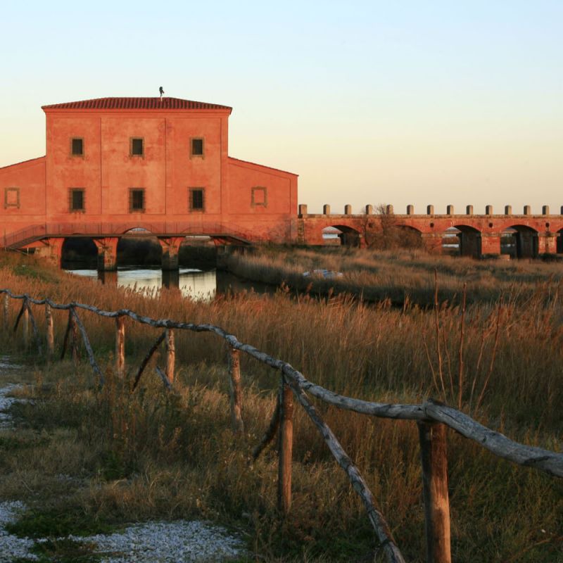 Discovering Maremma coast on horse