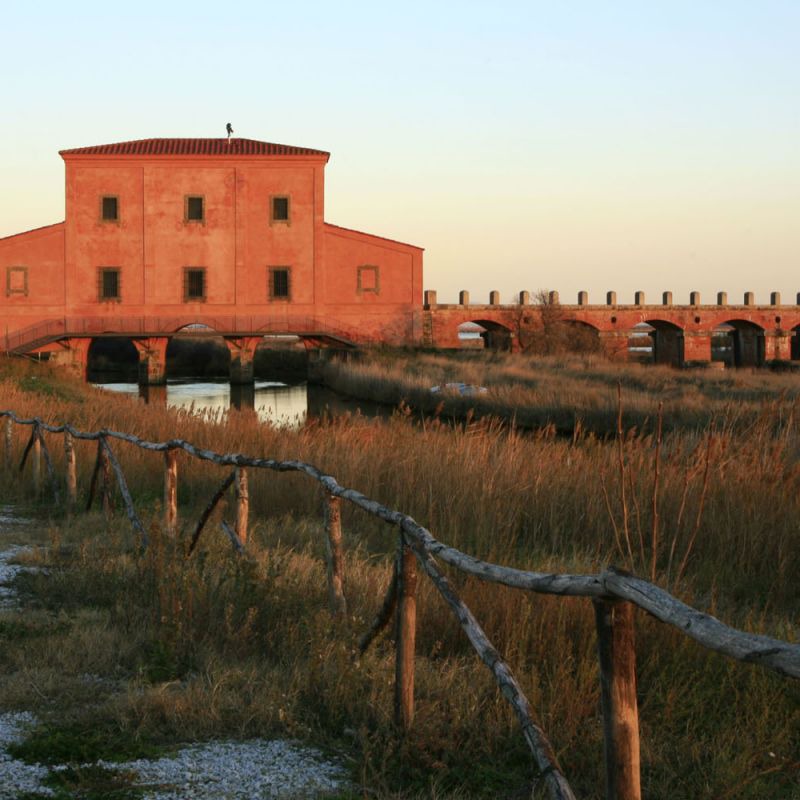 Castiglione e costa Maremmana a cavallo