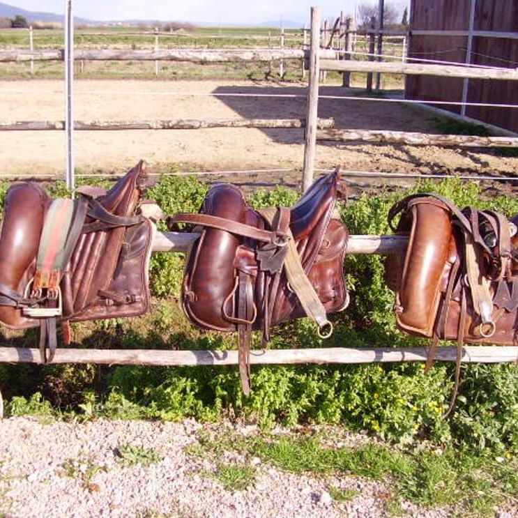 Castiglione e costa Maremmana a cavallo