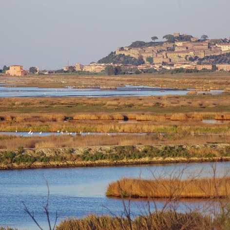 A cavallo tra la natura intorno a Castiglione