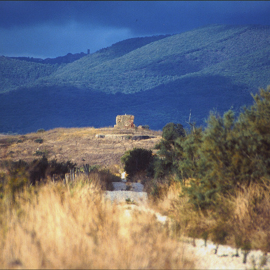 A cavallo tra la natura intorno a Castiglione