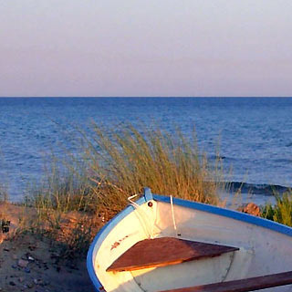 Discovering Maremma coast on horse
