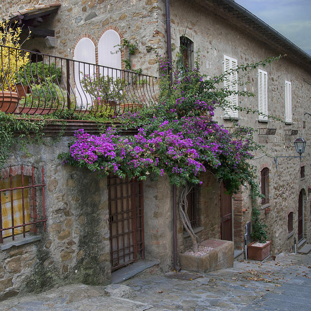 Discovering Maremma coast on horse