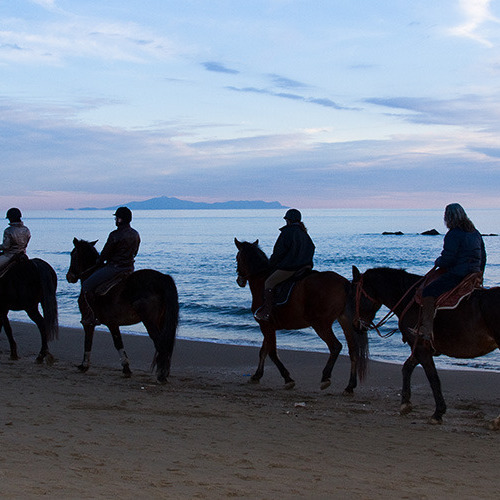 Discovering Maremma coast on horse