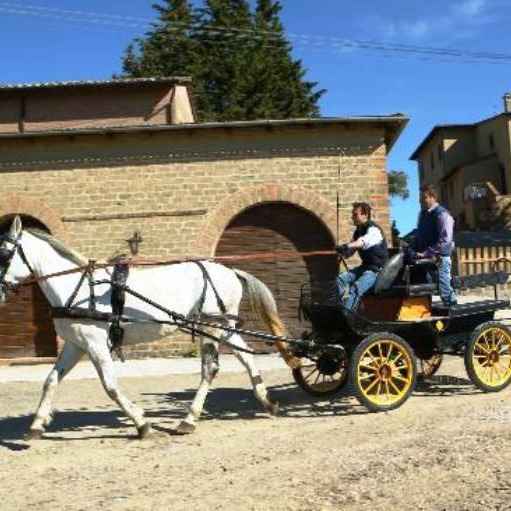Farmhouse with natural spa, horses and food