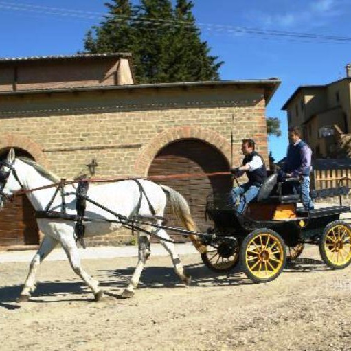 Agriturismo con terme, cavalli e gastronomia