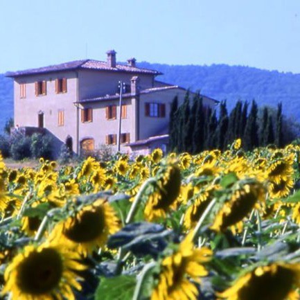 Farmhouse with natural spa, horses and food