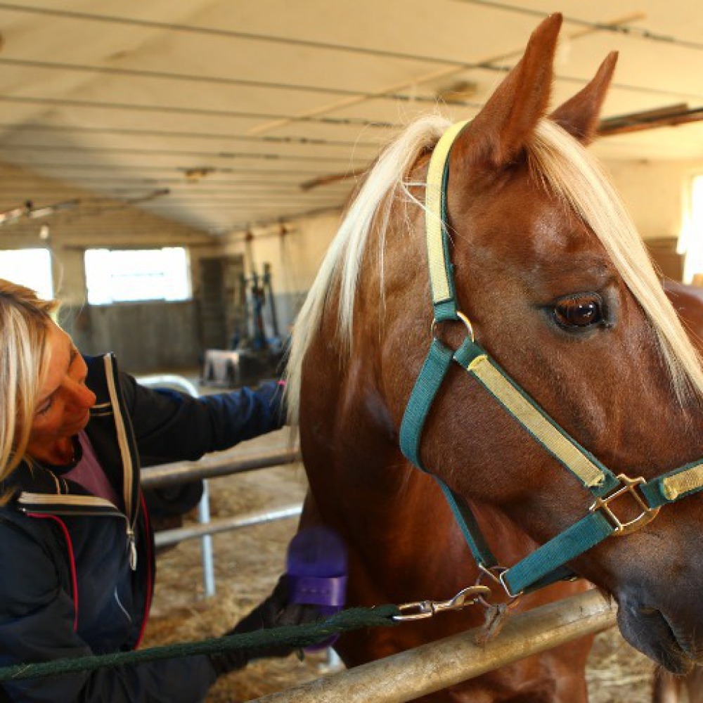 Farmhouse with natural spa, horses and food