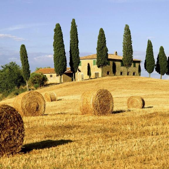 Farmhouse with natural spa, horses and food