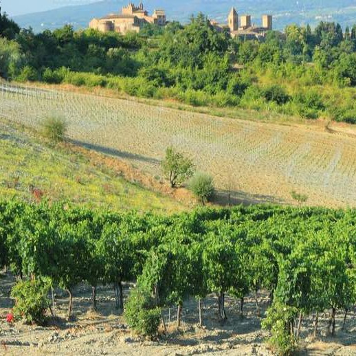 Appartamenti in fattoria viticola nel Chianti