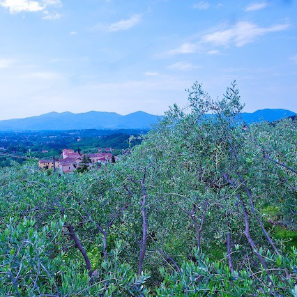 Villa vicino a Lucca con panorama e piscina