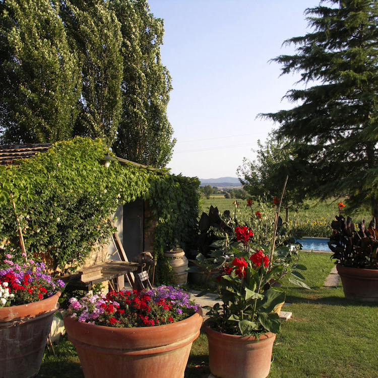 Countryhouse & pool Siena and Montalcino