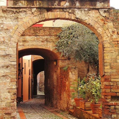 Fattoria tra i profumi della Valdelsa