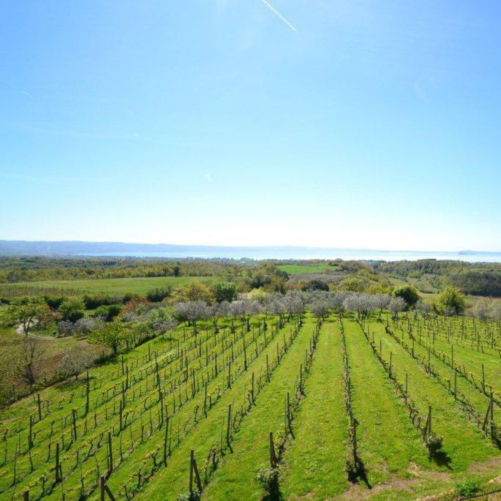 Villa & swimmingpool on the Bolsena Lake